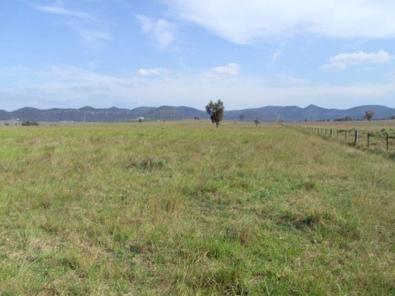 197 Mount Dangar Road, SANDY HOLLOW NSW 2333, Sandy Hollow - Image 1
