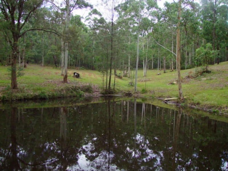 Lot 2, 1850 Putty Valley Road, PUTTY NSW 2330, Putty - Thumbnail 7