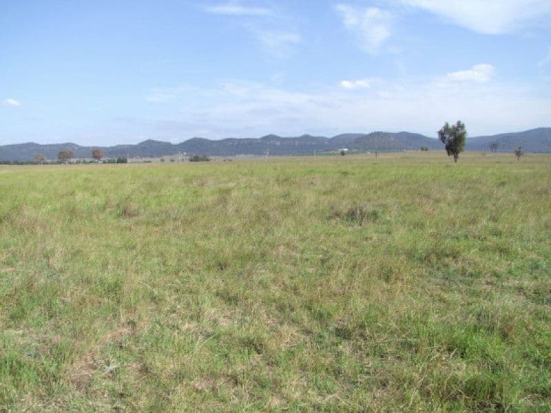197 Mount Dangar Road, SANDY HOLLOW NSW 2333, Sandy Hollow - Thumbnail 7