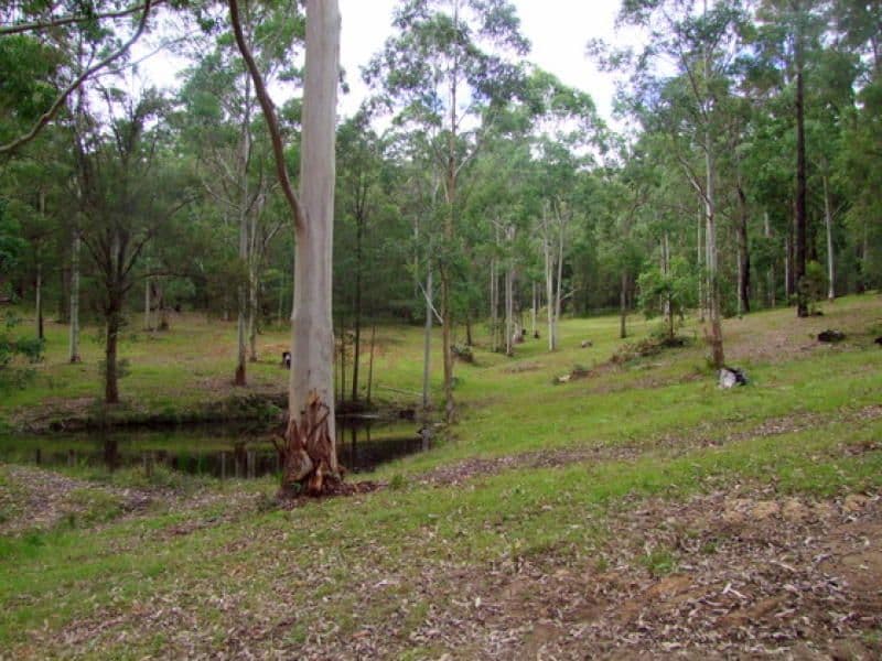 Lot 2, 1850 Putty Valley Road, PUTTY NSW 2330, Putty - Thumbnail 5