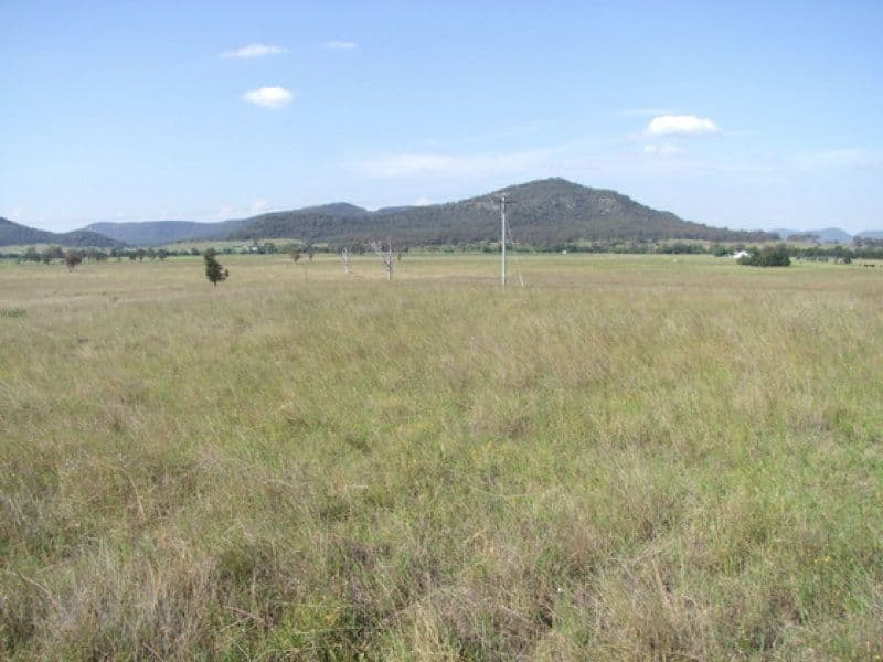 197 Mount Dangar Road, SANDY HOLLOW NSW 2333, Sandy Hollow - Thumbnail 5