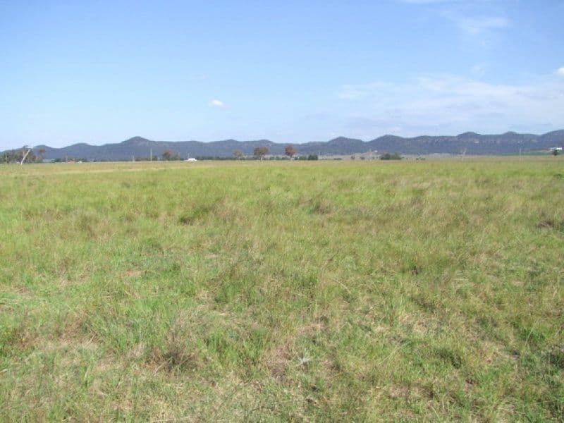 197 Mount Dangar Road, SANDY HOLLOW NSW 2333, Sandy Hollow - Thumbnail 8