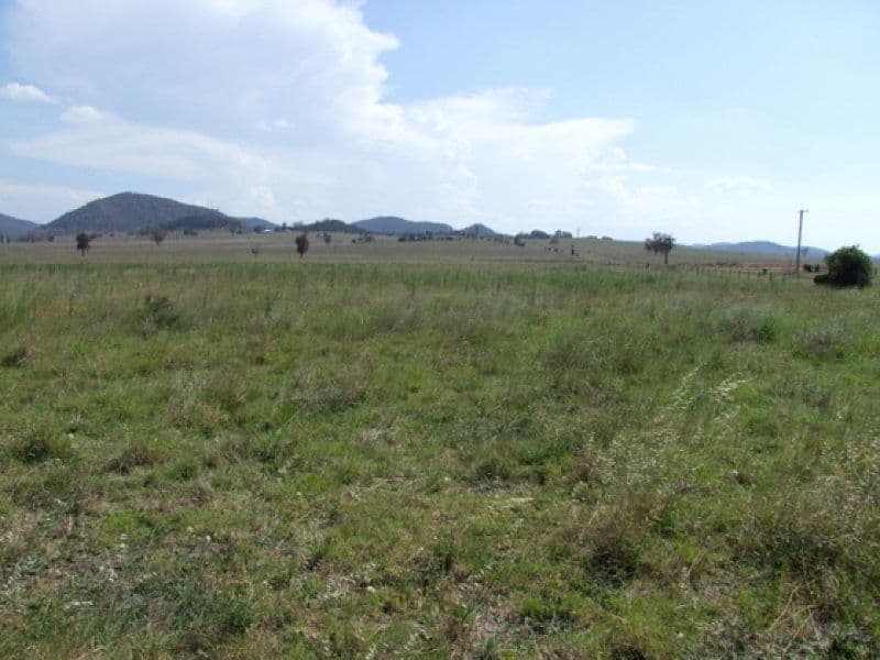197 Mount Dangar Road, SANDY HOLLOW NSW 2333, Sandy Hollow - Thumbnail 2