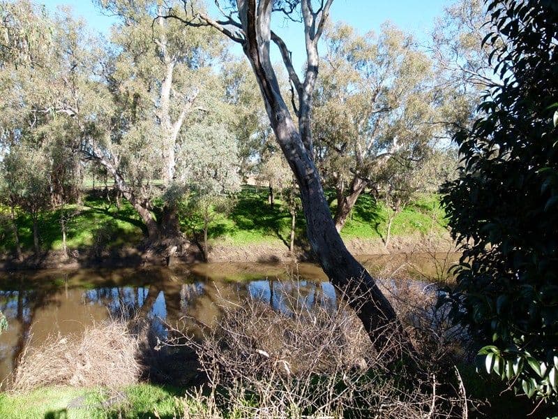 289 Bathurst Street, FORBES NSW 2871, Forbes - Thumbnail 2
