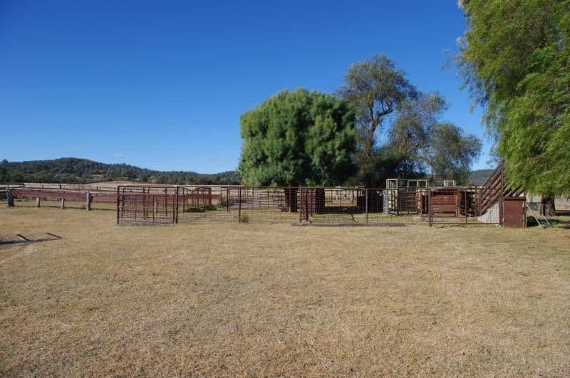1892 Allan Cunningham Road, INVERELL NSW 2360, Inverell - Thumbnail 6