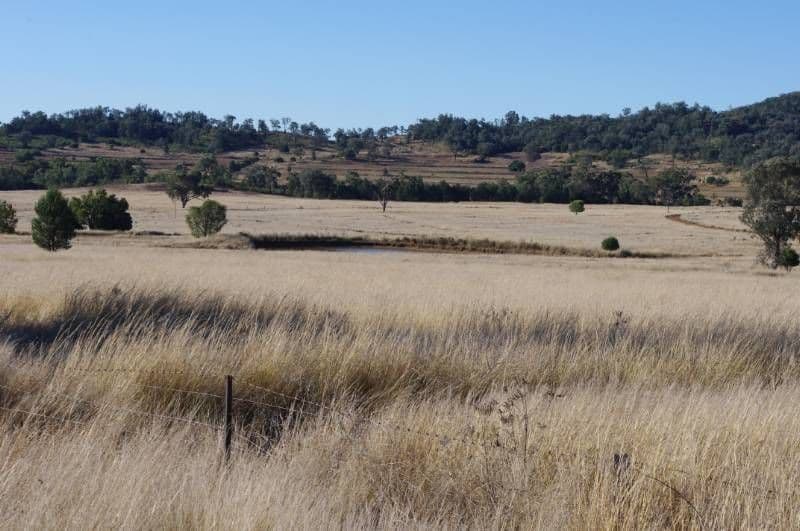 1892 Allan Cunningham Road, INVERELL NSW 2360, Inverell - Image 1