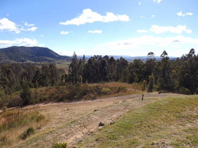235 Moonabung Road, VACY NSW 2421, Vacy - Thumbnail 4