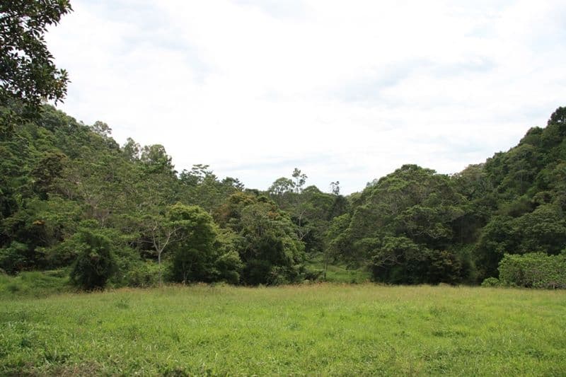 82 Francis Road, KIN KIN QLD 4571, Kin Kin - Thumbnail 7