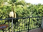 MURWILLUMBAH NSW 2484, Murwillumbah - Image 1