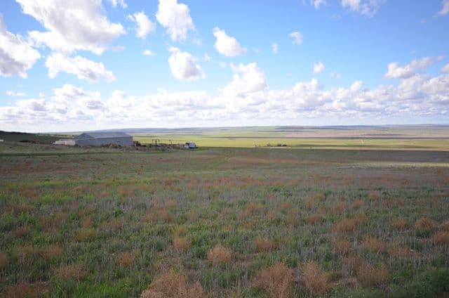 "Pennas Shed" Daniels Road, SOUTH HUMMOCKS SA 5550, South Hummocks - Image 1