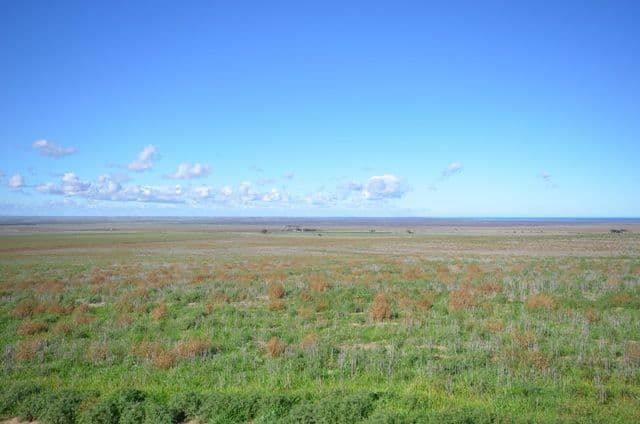 "Pennas Shed" Daniels Road, SOUTH HUMMOCKS SA 5550, South Hummocks - Thumbnail 2
