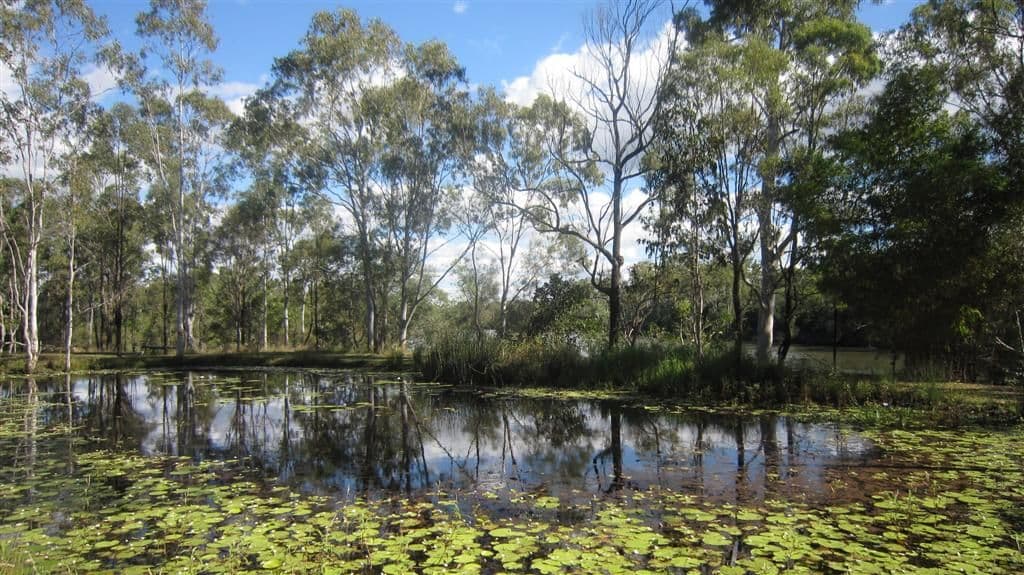 BAFFLE CREEK QLD 4674, Baffle Creek - Thumbnail 2