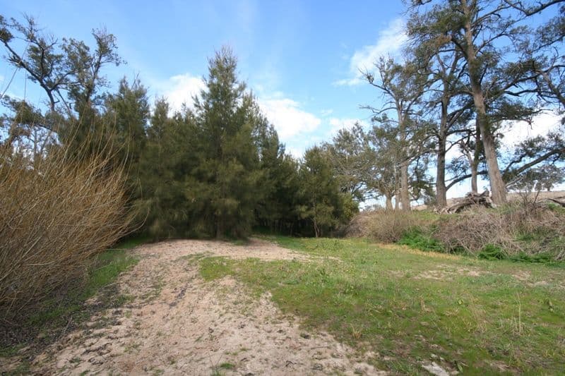 318 O'Connell Plains Road, O'CONNELL NSW 2795, O'Connell - Thumbnail 2