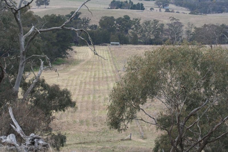 318 O'Connell Plains Road, O'CONNELL NSW 2795, O'Connell - Thumbnail 4
