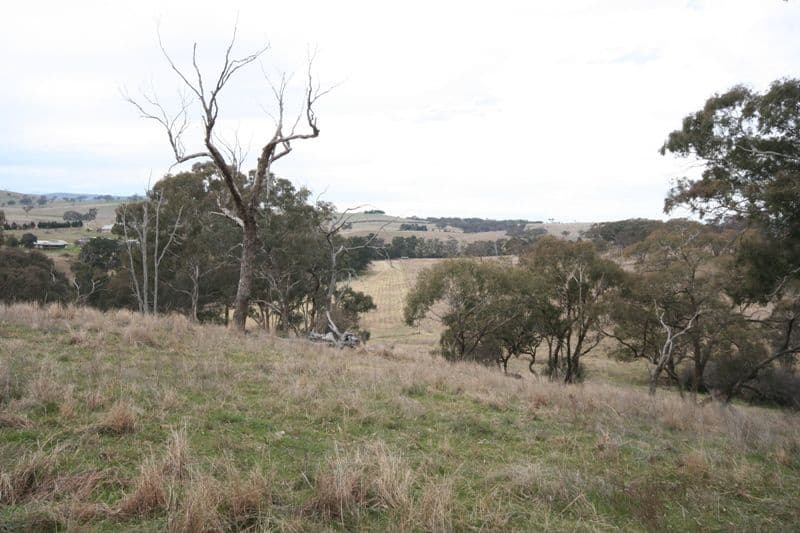 318 O'Connell Plains Road, O'CONNELL NSW 2795, O'Connell - Thumbnail 6