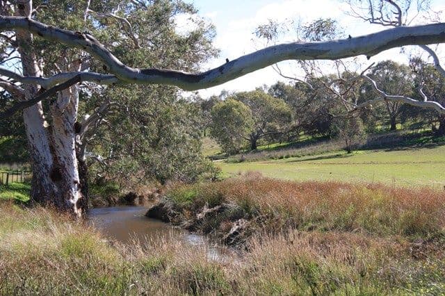 408 Wooley Road, HARROGATE SA 5244, Harrogate - Thumbnail 8