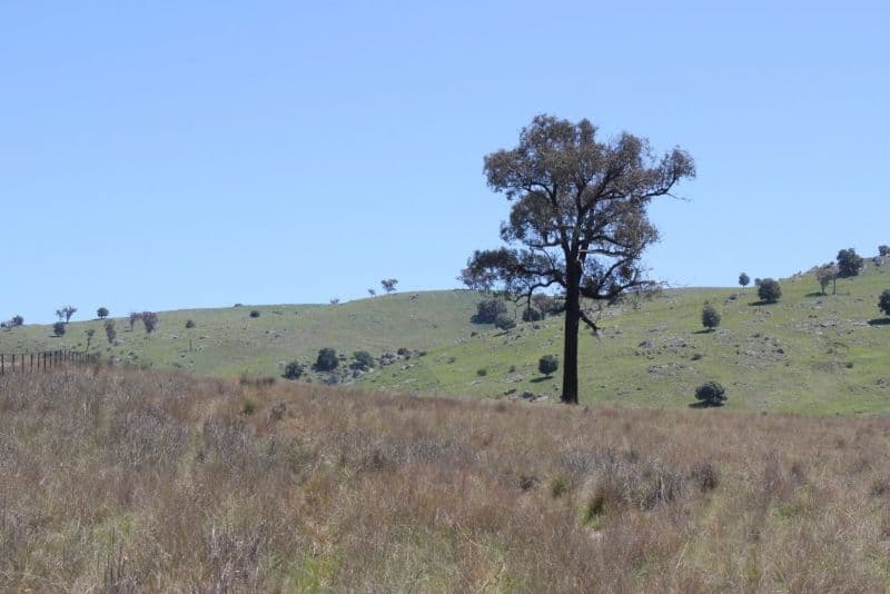 TAYLORS FLAT NSW 2586, Taylors Flat - Image 1