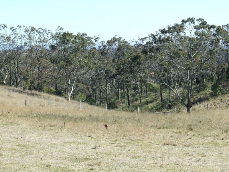95 Welke Road, GROOMSVILLE QLD 4352, Groomsville - Thumbnail 4