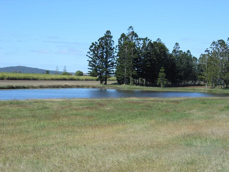 WALLAVILLE QLD 4671, Wallaville - Thumbnail 2