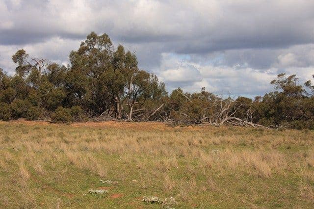 Lot 8 Law Road, ROCKLEIGH SA 5254, Rockleigh - Thumbnail 5
