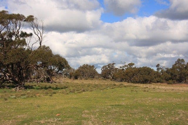 Lot 8 Law Road, ROCKLEIGH SA 5254, Rockleigh - Image 1