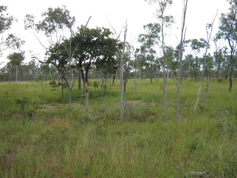 DIMBULAH QLD 4872, Dimbulah - Thumbnail 5