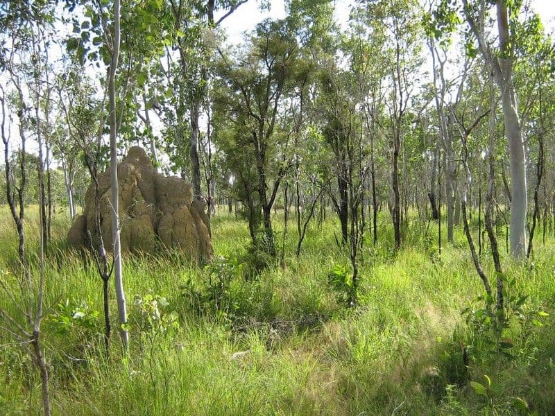 DIMBULAH QLD 4872, Dimbulah - Thumbnail 6