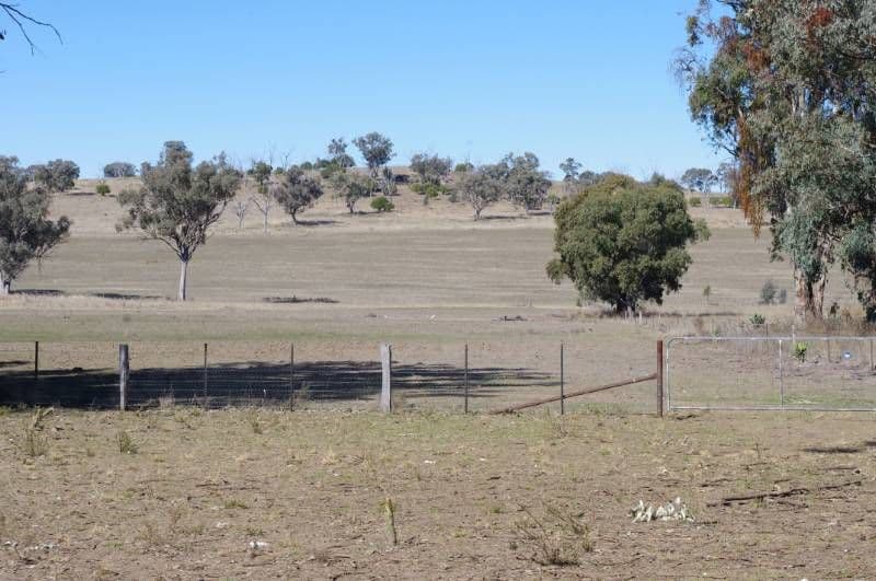 Havilah Bingara Road, DELUNGRA NSW 2403, Delungra - Thumbnail 6