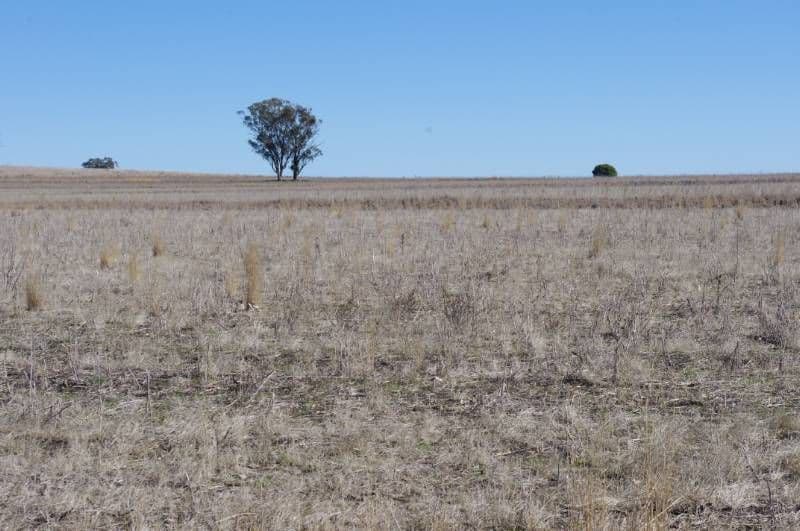 Havilah Bingara Road, DELUNGRA NSW 2403, Delungra - Thumbnail 7