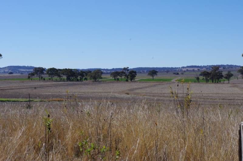 Havilah Bingara Road, DELUNGRA NSW 2403, Delungra - Thumbnail 8