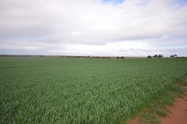 "Wilsons" Various Lots, WHITWARTA SA 5461, Whitwarta - Thumbnail 8