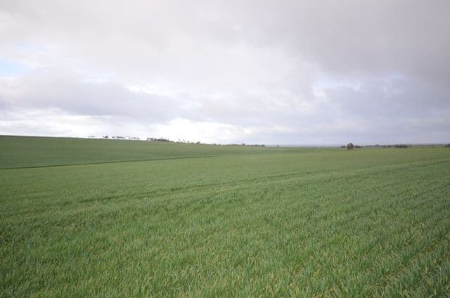 "Wilsons" Various Lots, WHITWARTA SA 5461, Whitwarta - Thumbnail 2
