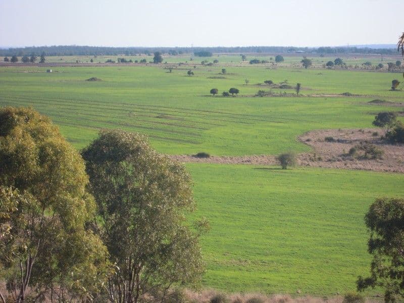 0 Wellcamp Lane, JANDOWAE QLD 4410, Jandowae - Image 1
