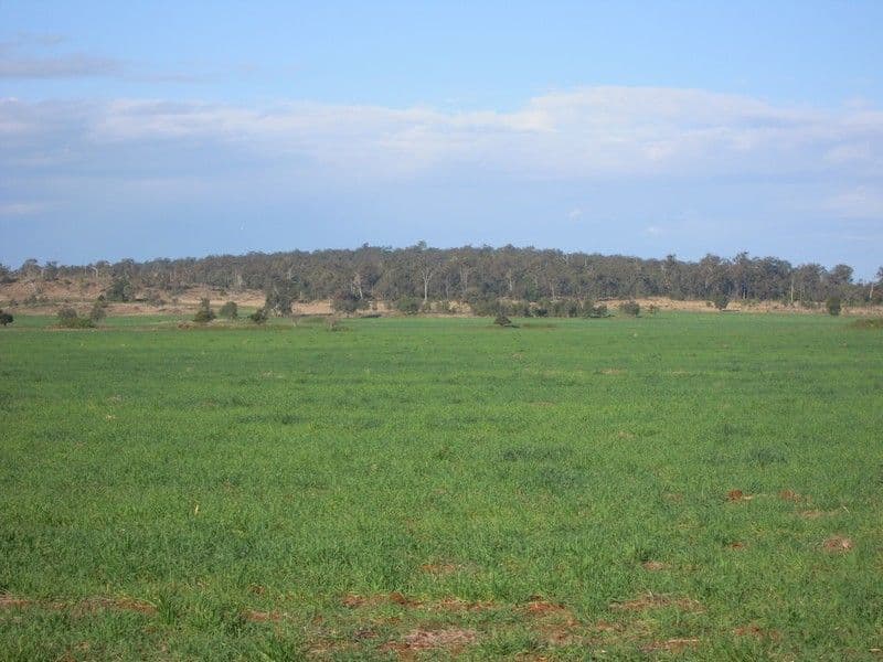 0 Wellcamp Lane, JANDOWAE QLD 4410, Jandowae - Thumbnail 5