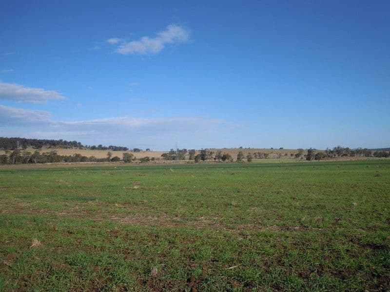 0 Wellcamp Lane, JANDOWAE QLD 4410, Jandowae - Thumbnail 6