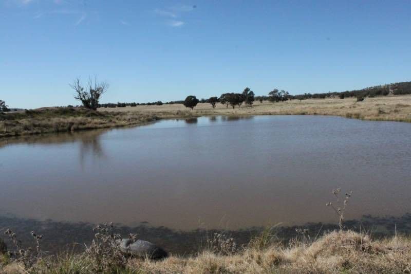 FORBES NSW 2871, Forbes - Thumbnail 3