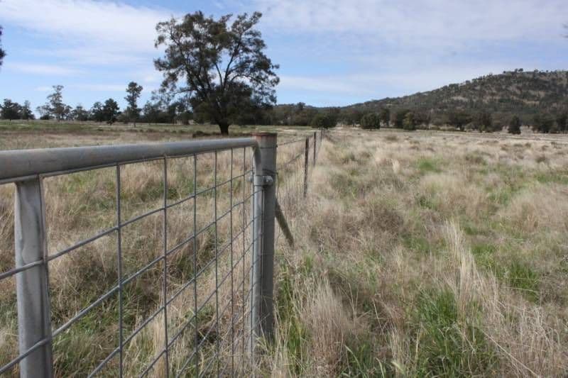 FORBES NSW 2871, Forbes - Thumbnail 4