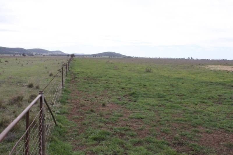 FORBES NSW 2871, Forbes - Thumbnail 6