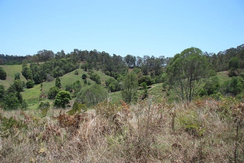 VETERAN QLD 4570, Veteran - Thumbnail 2
