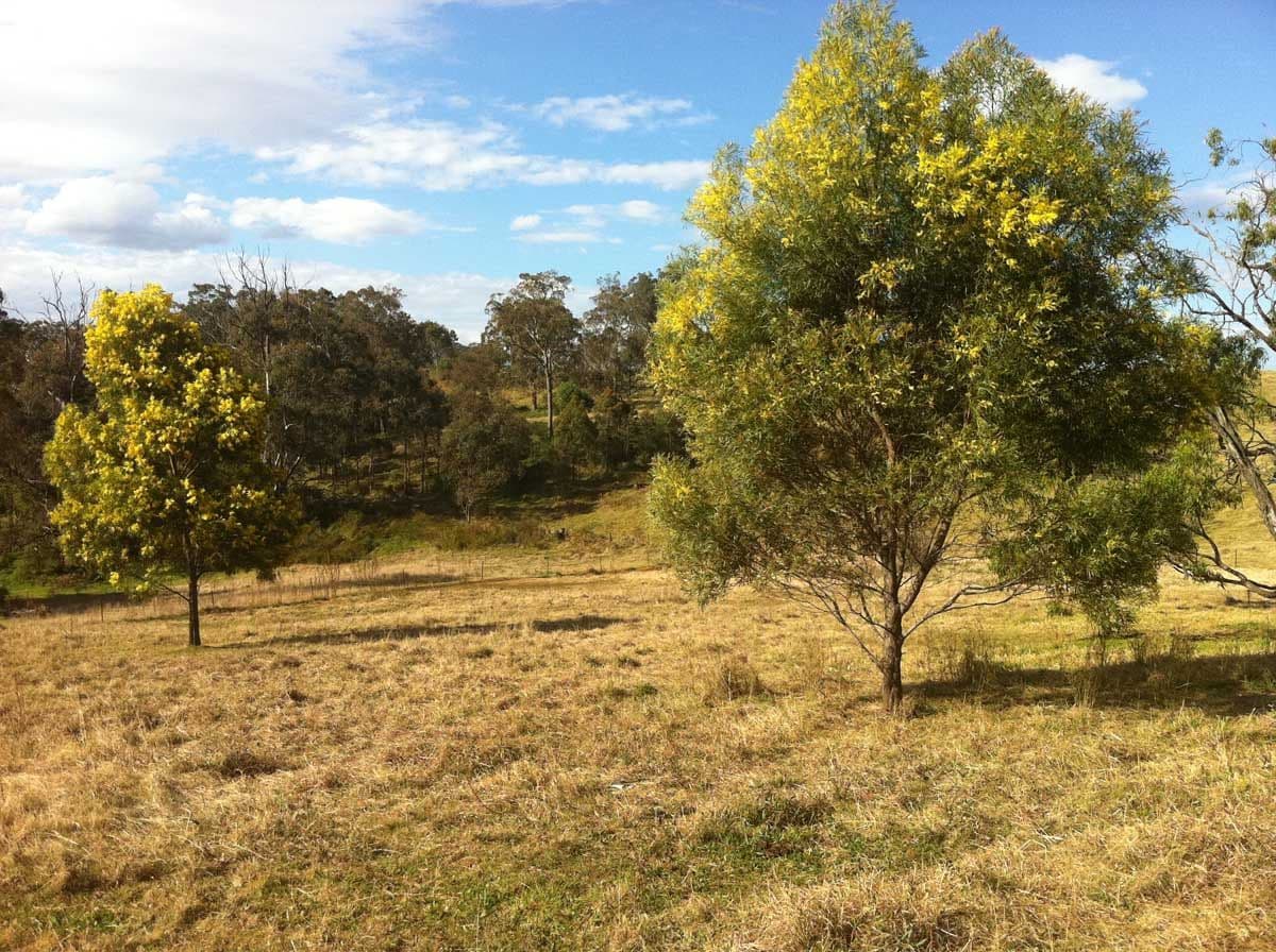50 Recreation Reserve Road, HIGHFIELDS QLD 4352, Highfields - Thumbnail 4