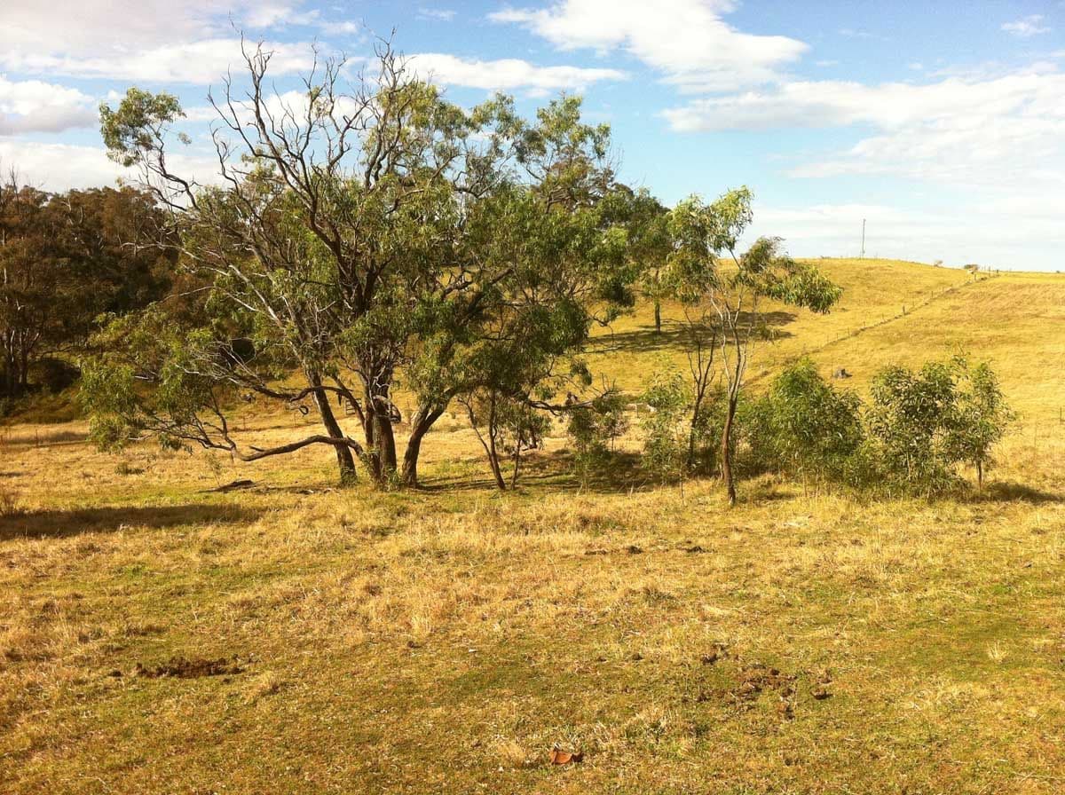 50 Recreation Reserve Road, HIGHFIELDS QLD 4352, Highfields - Thumbnail 3