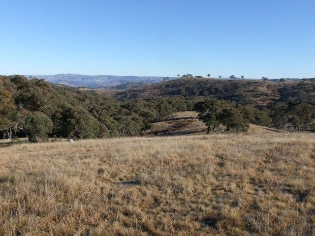 BATHURST NSW 2795, Bathurst - Thumbnail 2