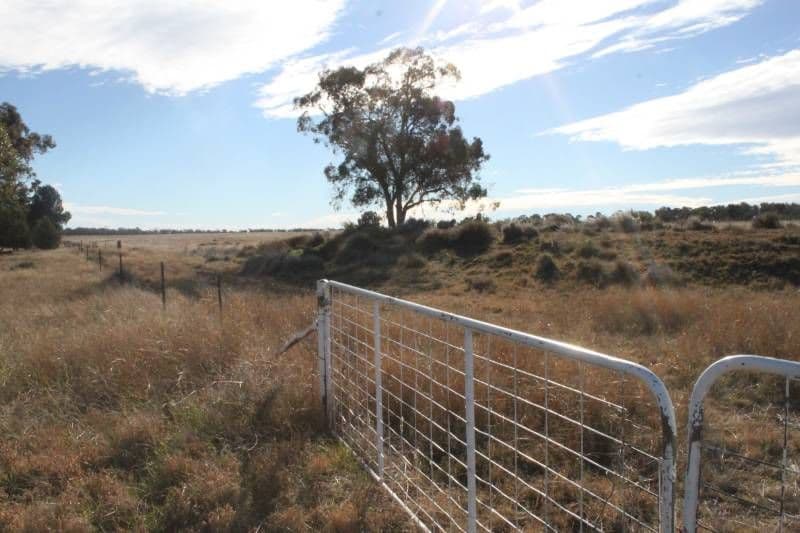 CONDOBOLIN NSW 2877, Condobolin - Thumbnail 7