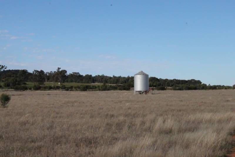 CONDOBOLIN NSW 2877, Condobolin - Thumbnail 2