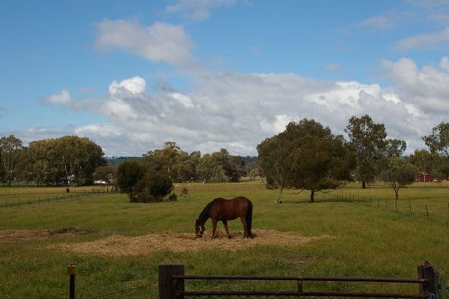 8 North Road, YORK WA 6302, York - Thumbnail 5