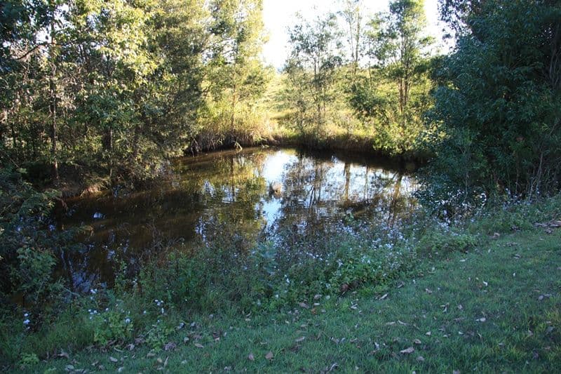 EAST DEEP CREEK QLD 4570, East Deep Creek - Thumbnail 8