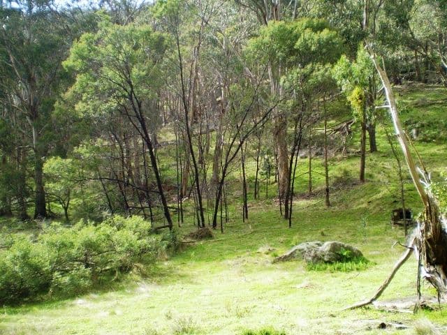11 Mittagong Road, Bowral, Bowral - Image 1