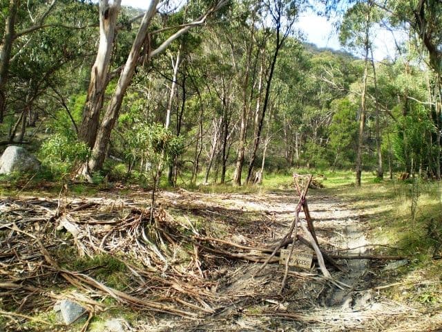 11 Mittagong Road, Bowral, Bowral - Thumbnail 4