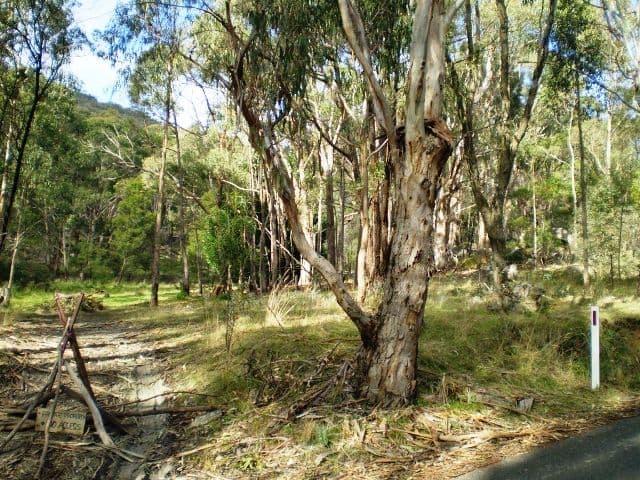 11 Mittagong Road, Bowral, Bowral - Thumbnail 5
