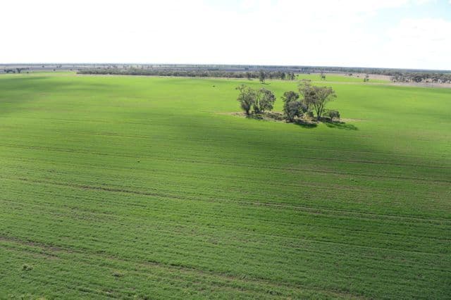 543 Forest Creek Road, NORTH STAR NSW 2408, North Star - Thumbnail 2